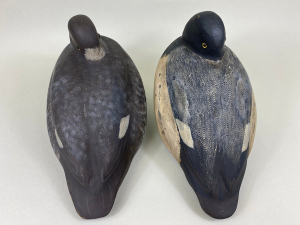 Pair of Unknown Sleeper Blue Bills (#5641)