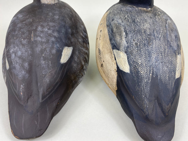 Pair of Unknown Sleeper Blue Bills (#5641)