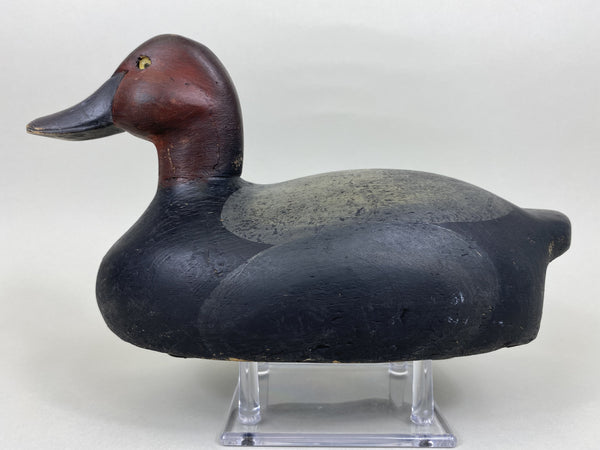 Ohio Redhead Drake, Branded (#5642)