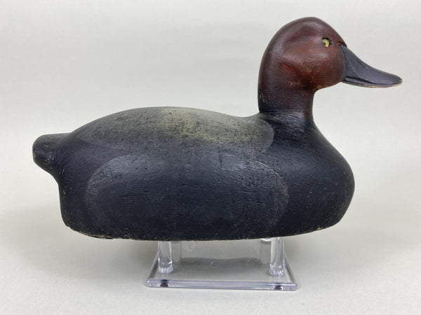 Ohio Redhead Drake, Branded (#5642)