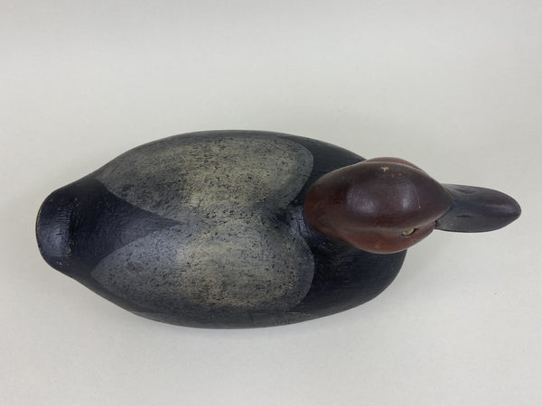 Ohio Redhead Drake, Branded (#5642)