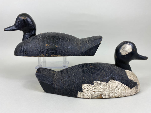 Bufflehead Pair, Tack-eyes, Circa 1930's, Wisconsin (#5645)