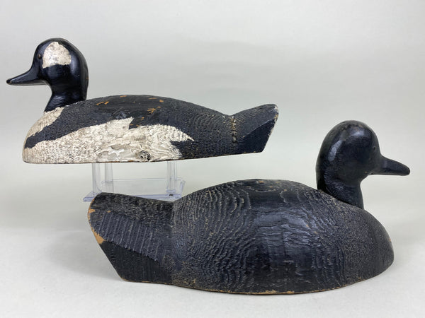 Bufflehead Pair, Tack-eyes, Circa 1930's, Wisconsin (#5645)