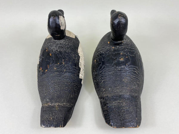 Bufflehead Pair, Tack-eyes, Circa 1930's, Wisconsin (#5645)