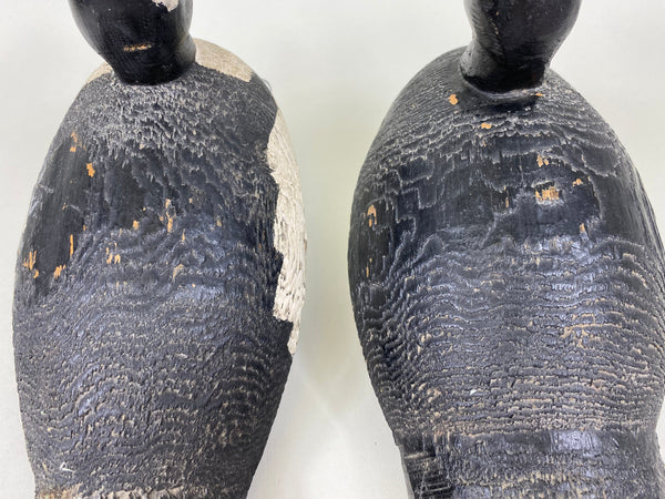 Bufflehead Pair, Tack-eyes, Circa 1930's, Wisconsin (#5645)