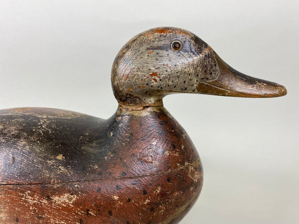 Mason Premier Mallard Hen, Original Paint, Circa 1920's (#5650)