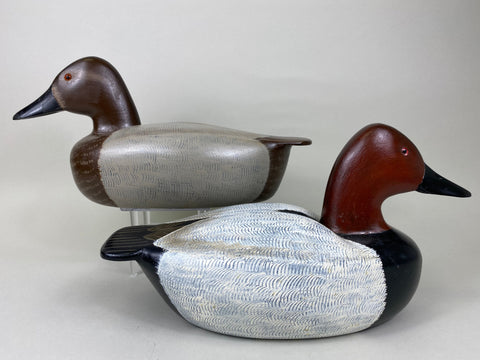Chiado Brothers Canvasback, Pair (#5665)