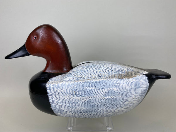 Chiado Brothers Canvasback, Pair (#5665)