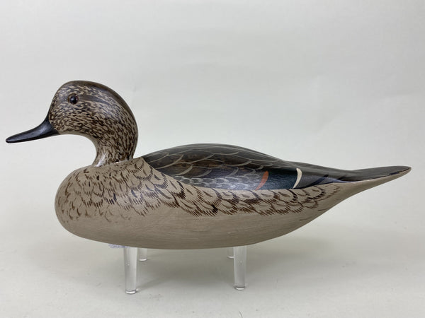 Charlie Moore Green Wing Teal Hen (#5706)
