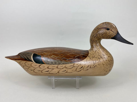 Torry Ward and Charlie Moore Pintail Hen (#5707)