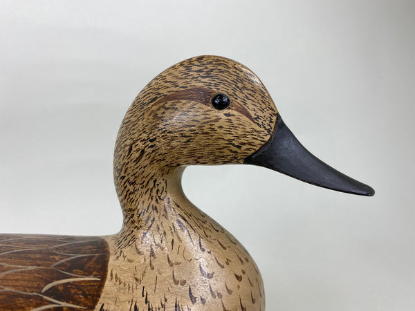 Torry Ward and Charlie Moore Pintail Hen (#5707)