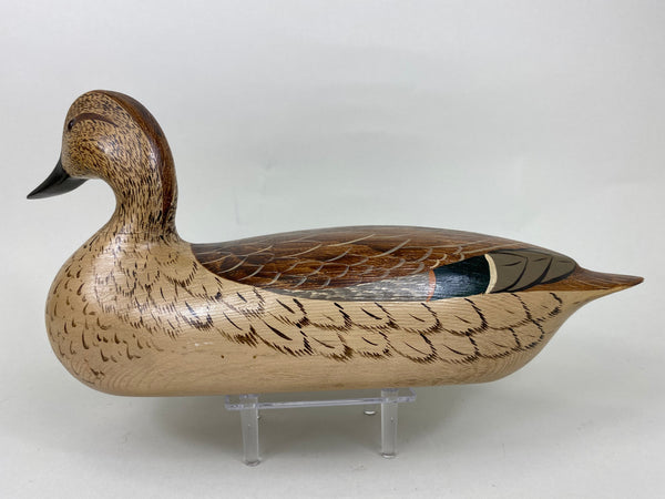 Torry Ward and Charlie Moore Pintail Hen (#5707)