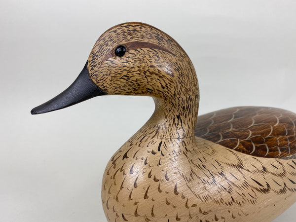 Torry Ward and Charlie Moore Pintail Hen (#5707)