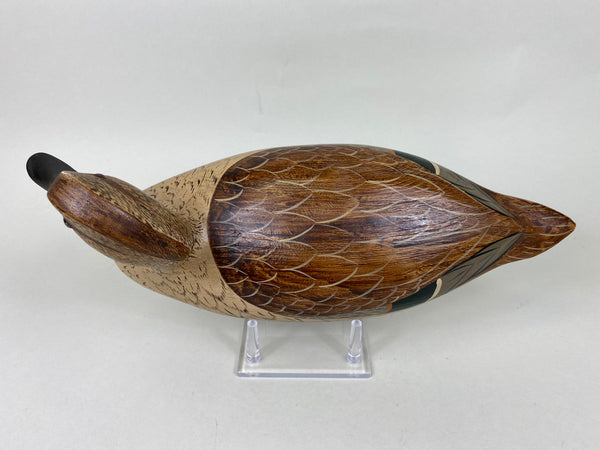 Torry Ward and Charlie Moore Pintail Hen (#5707)