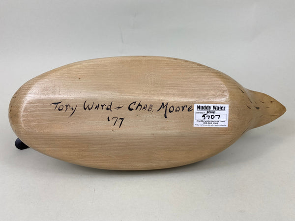 Torry Ward and Charlie Moore Pintail Hen (#5707)