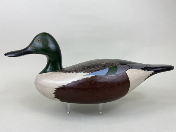 Dave Frier Shoveler Drake (#5709)
