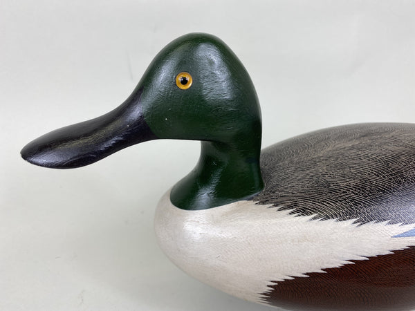 Dave Frier Shoveler Drake (#5709)