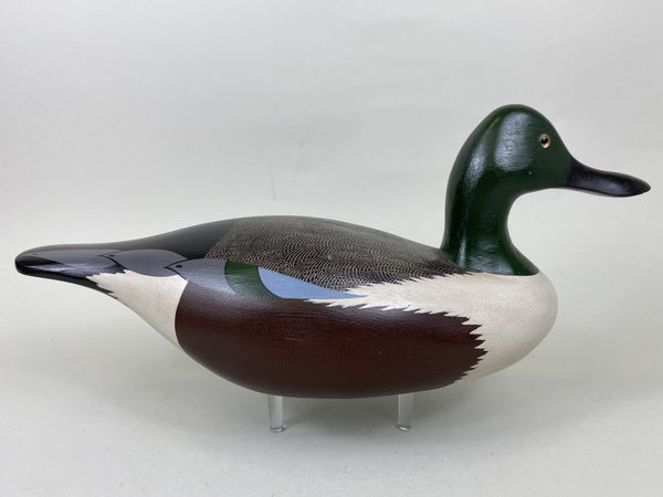 Dave Frier Shoveler Drake (#5709)