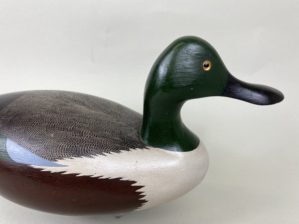 Dave Frier Shoveler Drake (#5709)