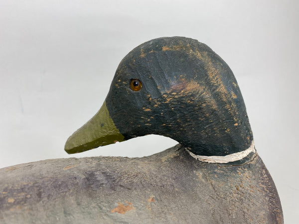 Animal Trap Mallard Sleeper, Stamped (#5711)