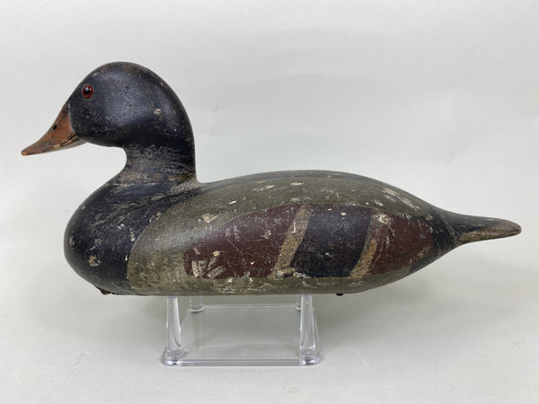Illinois River Canvasback Painted as Mallard, Circa 1900's (#5712)