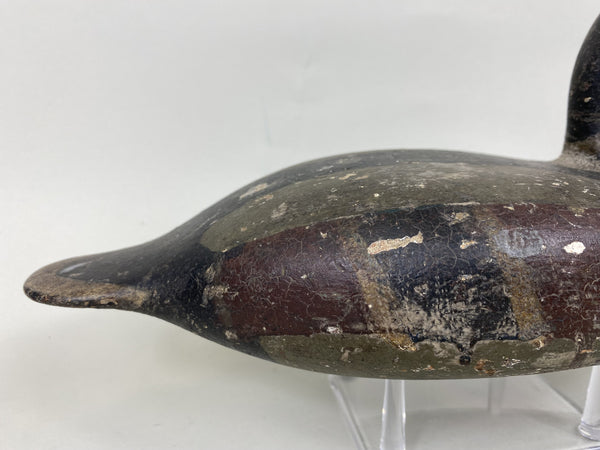 Illinois River Canvasback Painted as Mallard, Circa 1900's (#5712)