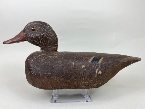 Illinois River Mallard Hen, Circa 1920's (#5717)