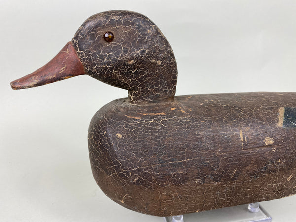 Illinois River Mallard Hen, Circa 1920's (#5717)