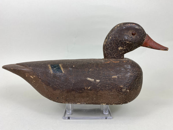 Illinois River Mallard Hen, Circa 1920's (#5717)