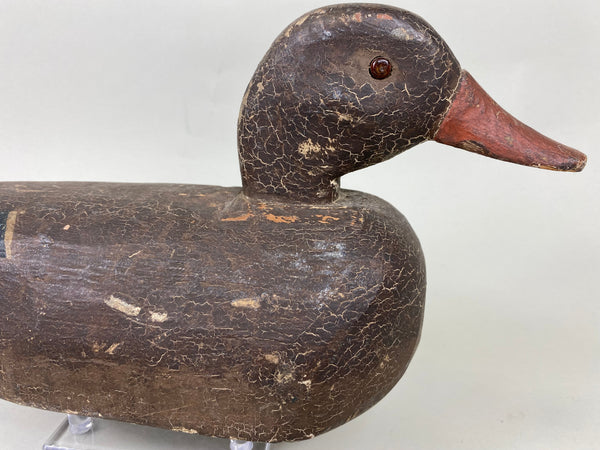 Illinois River Mallard Hen, Circa 1920's (#5717)
