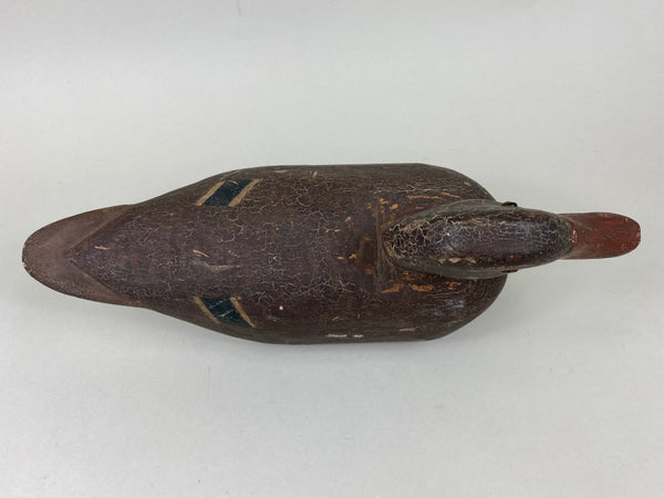 Illinois River Mallard Hen, Circa 1920's (#5717)