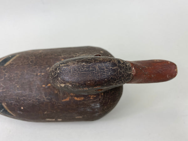 Illinois River Mallard Hen, Circa 1920's (#5717)