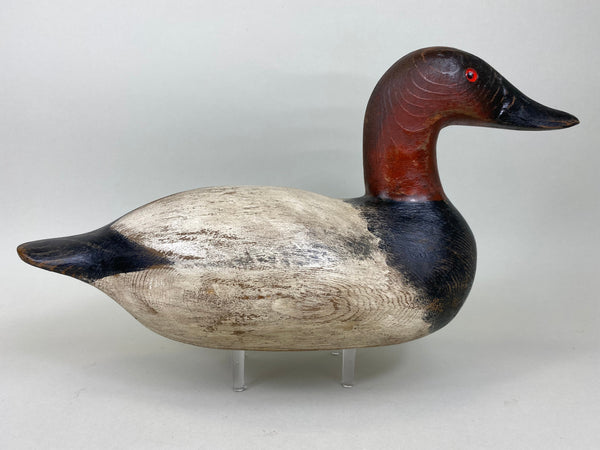 Mason Premiere Senica Lake Canvasback, Branded (#5735)