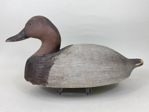 Wildfowler Canvasback, Old Saybrook (#5737)