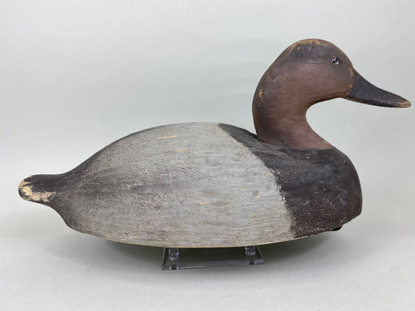 Wildfowler Canvasback, Old Saybrook (#5737)