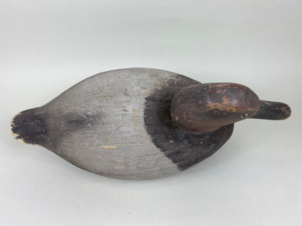 Wildfowler Canvasback, Old Saybrook (#5737)