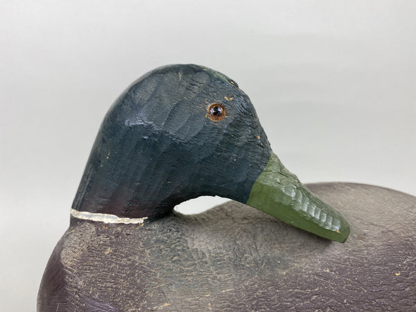 Animal Trap Sleeper Mallard Drake (#5743)