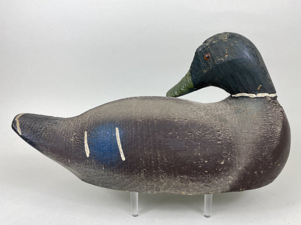 Animal Trap Sleeper Mallard Drake (#5743)
