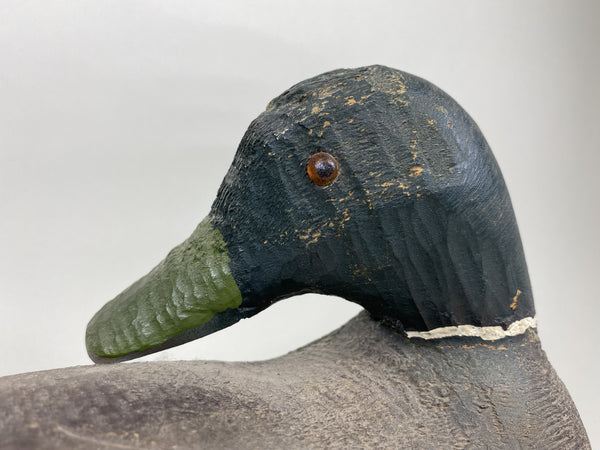 Animal Trap Sleeper Mallard Drake (#5743)