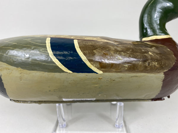 Henry Holmes Mallard Drake, Circa 1910's (#5748)