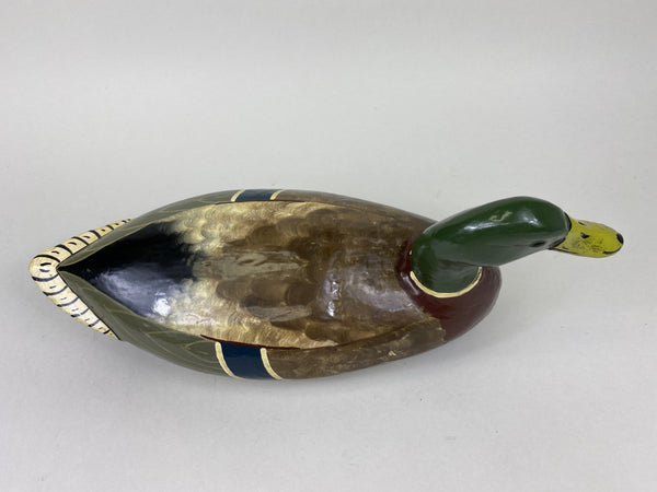 Henry Holmes Mallard Drake, Circa 1910's (#5748)