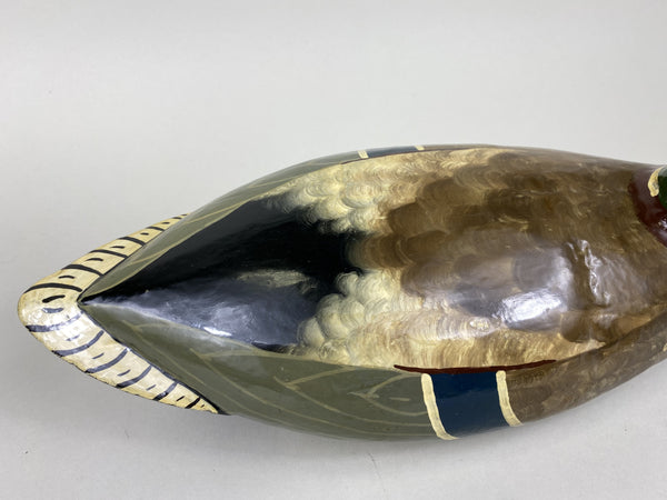 Henry Holmes Mallard Drake, Circa 1910's (#5748)