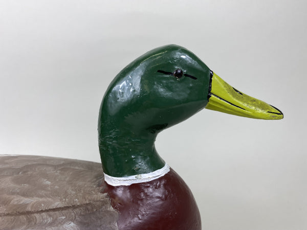 Henry Holmes Mallard Drake, Hageman Paint, Circa 1910's (#5750)