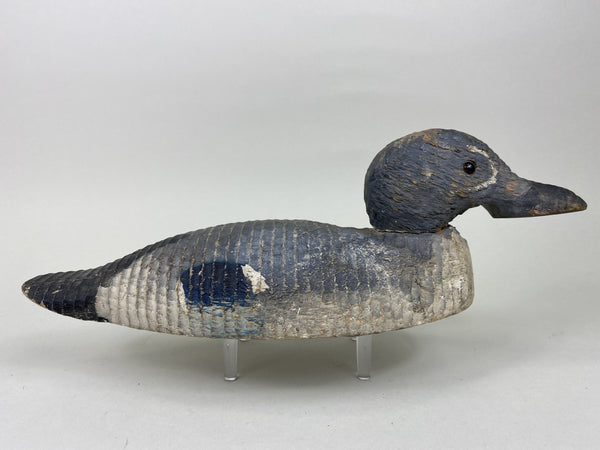 Rare Poitevin Bros. Bluewing Teal Drake, All Original (#5752)