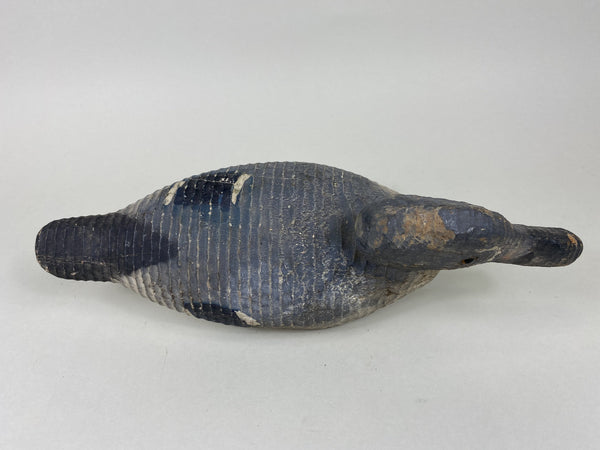 Rare Poitevin Bros. Bluewing Teal Drake, All Original (#5752)