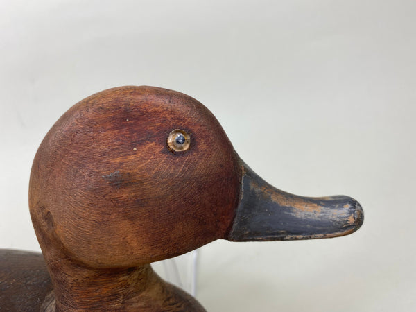 Unknown Redhead Drake Ontario, Original Paint (#5776)