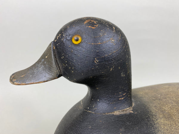 Michigan Bobtail Blue Bill, Original Paint (#5779)