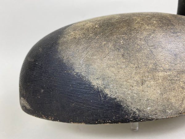 Michigan Bobtail Blue Bill, Original Paint (#5779)