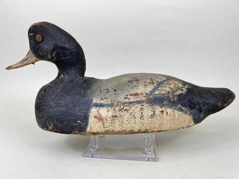 Hudson family Blue Bill Drake, Circa 1930's (#5782)