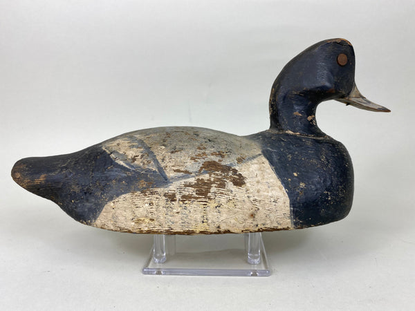 Hudson family Blue Bill Drake, Circa 1930's (#5782)